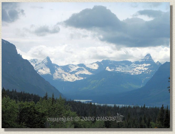 photo1.jpg