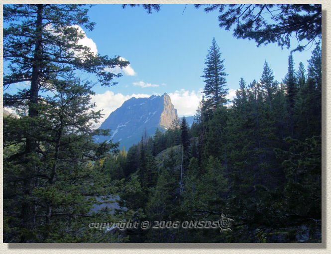 photo33.jpg