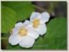 photo7_small.jpg