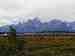 Photo Number 7