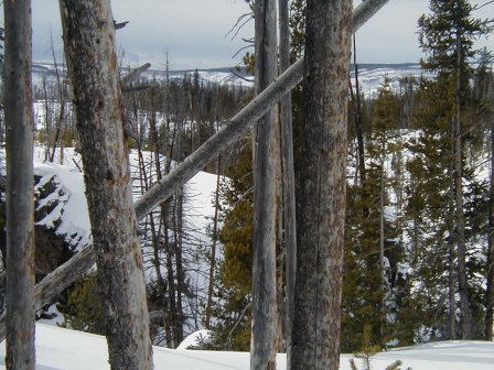 Interesting View Photograph