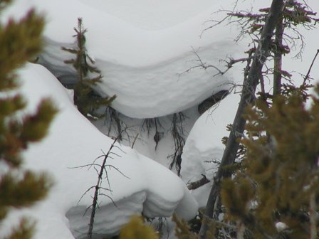 Cornice Photograph