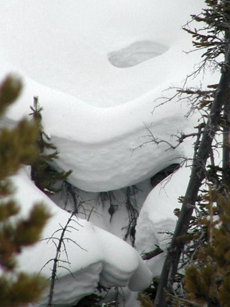 Cornice Photograph