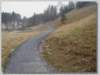 Photo Number 8