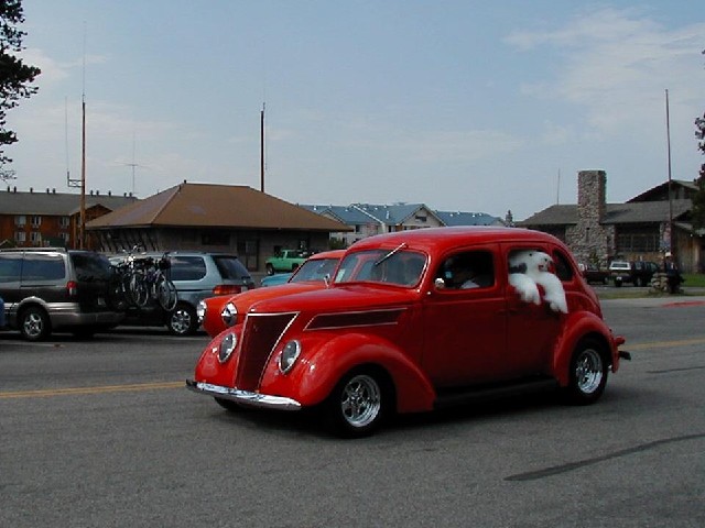 Photograph