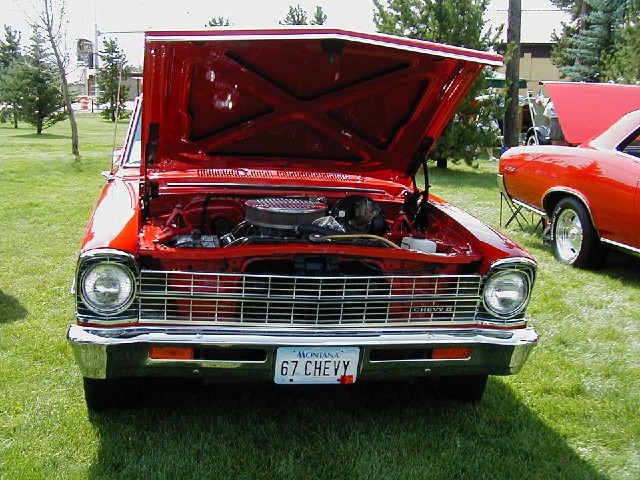 Photograph