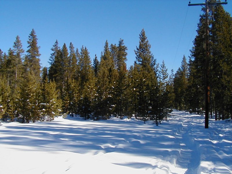 Along the trail Photograph
