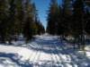Photo Number 6