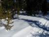 Photo Number 8
