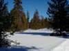 Photo Number 9