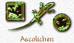 OMS Ascolichen