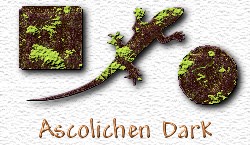 OMS Ascolichen Dark