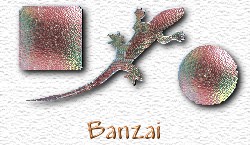 OMS Banzai