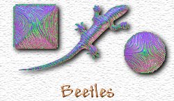 OMS Beetles