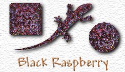 OMS Black Raspberry