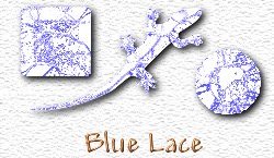 OMS Blue Lace