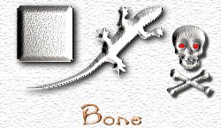 OMS Bone