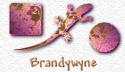 OMS Brandywyne