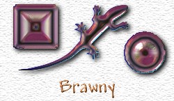 OMS Brawny