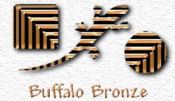 OMS Buffalo Bronze