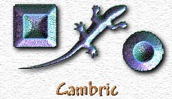 OMS Cambric