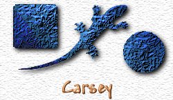 OMS Carsey