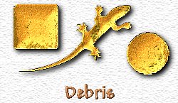 OMS Debris