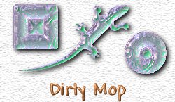 OMS Dirty Mop