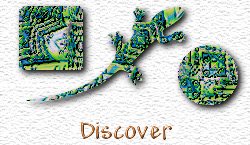 OMS Discover