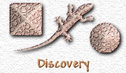 OMS Discovery