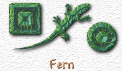OMS Fern