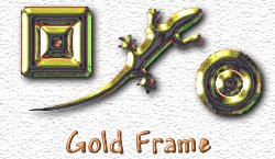 OMS Gold Frame