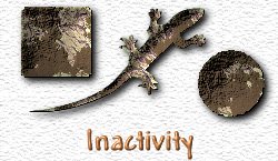 OMS Inactivity
