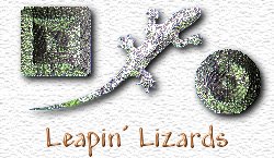 OMS Leapin Lizards