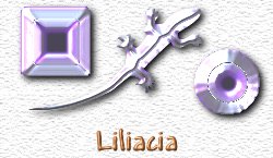 OMS Liliacia