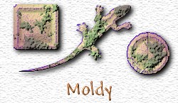 OMS Moldy