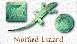 OMS Mottled Lizard
