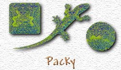 OMS Packy