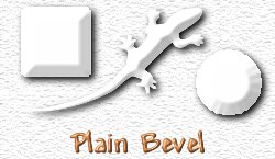 OMS Plain Bevel