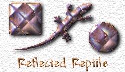OMS Reflected Reptile