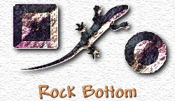 OMS Rock Bottom