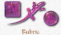 OMS Rubric