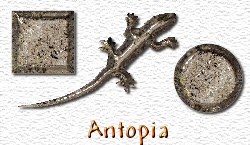 OMS Antopia