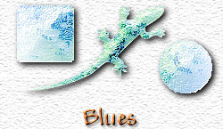 OMS Blues