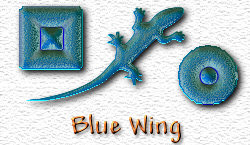 OMS Blue Wing