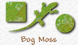 OMS Bog Moss