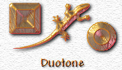 OMS Duotone