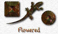 OMS Flowered