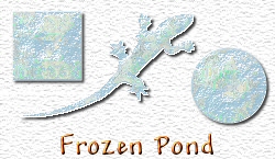 OMS Frozen Pond