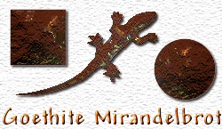 OMS Goethite Mirandelbrot